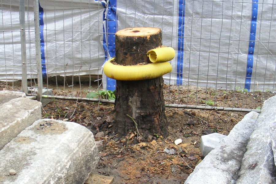 Baumschutzmaßnahmen